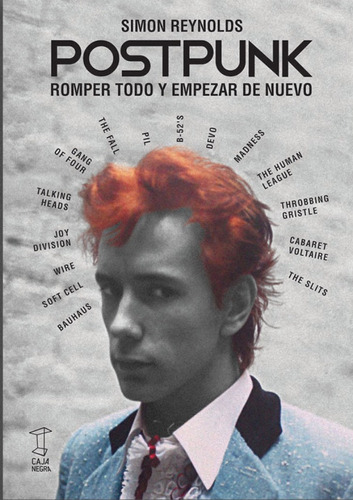 Postpunk - Simon Reynolds - Caja Negra - Lu Reads