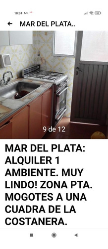 Imagen 6 de 20 de Mar Del Plata: Alquiler 1 Ambiente. Muy Lindo! Pta. Mogotes