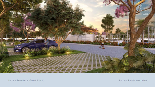 Imagen 6 de 16 de Venta, Terrenos Residenciales En Telchac. Playales