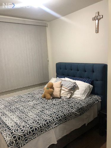 Imagen 11 de 23 de Renta De Departamento En Aralia 86, San Pedro Mártir, Tlalpan, Ciudad De México