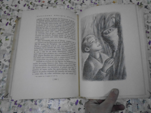 Allá Lejos Y Hace Tiempo - Guillermo Hudson Ed. Kraft 1958 (Usado)