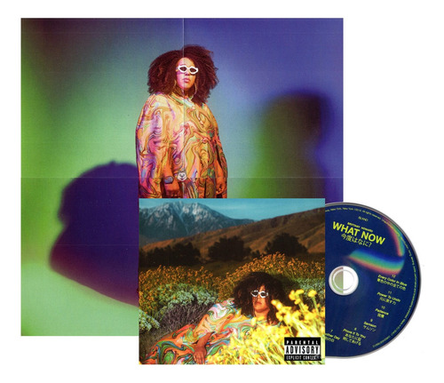 Brittany Howard What Now Disco Cd