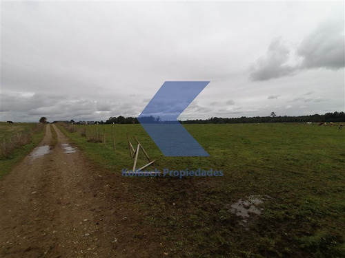 Agrícola Ganadero En Venta En Los Muermos
