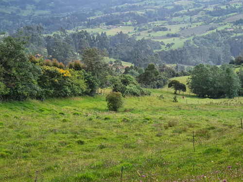 Venta Lote Tabio Cundinamarca 