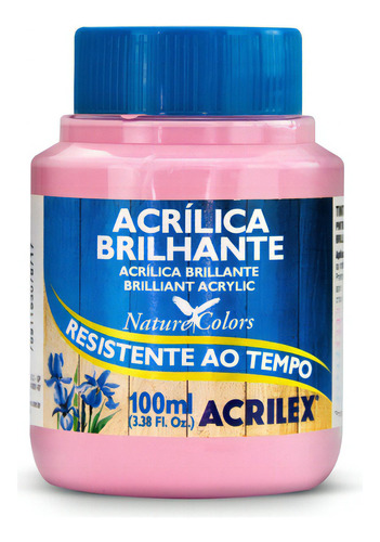 Tinta Acrilica Brilhante 100ml - Cores Cor ROSA 537