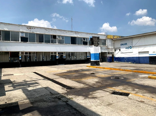 Terreno Tcomercial En Vertice