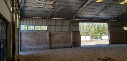 Imagen 13 de 30 de Alquilo Predio 6500 M2 Galpón 1900 M2 300 M2 Oficin Neuquen