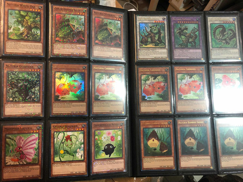 Naturia Set Duel Terminal Technology Full Foil Set