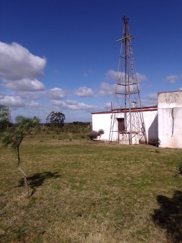 Campo Agrícola Ganadero En Canelones