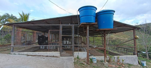 Ninoska Bautista Vende Granja Ubicada En El Valle