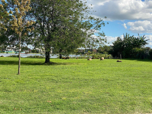 Venta Terreno 800m2 Proyecto Aprobado En Santa Rita Canning
