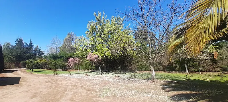 Imagen 3 de 18 de Hermosa Propiedad En Parcela 6000 M2 Alto Las Cruces Talca