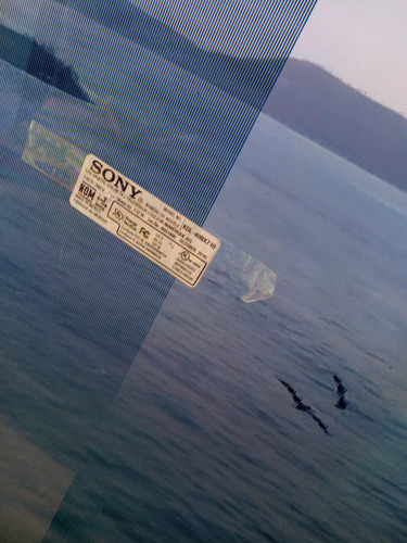 Tarjeta T-con Sony Kdl-40nx710 / Tdls_c4lv0.4 (Usado)