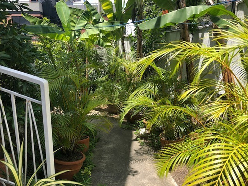 Imagen 15 de 15 de Venta Casa En Altamira Riv #7614
