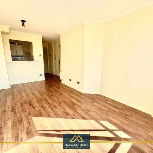 Departamento En Centro De Concepción, 1d + 1b + 1est +1bg