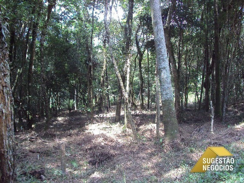 Imagem 2 de 15 de Terreno Na Represa Pé Na Água 4.672 M² - 2226