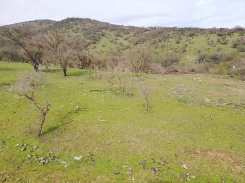 Bella Parcela En Venta En Las Cabras 5.000 M2