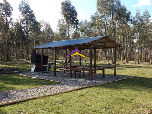 Imagen 21 de 24 de Chacra En Venta 15ha, Ruta 12 Lavalleja