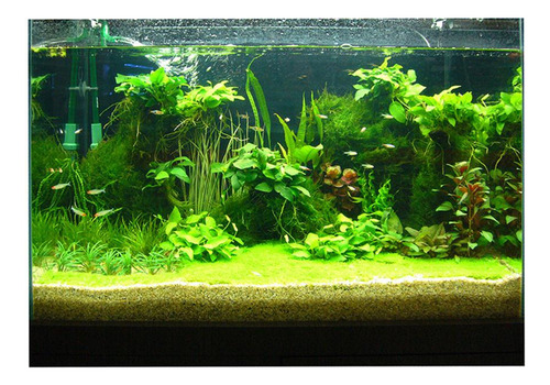 A Cartel De Paisaje De Acuario 122x46cm Tipo C - 122x46cm