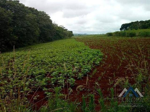 Imagem 3 de 6 de Chácara Com 7 Dormitórios À Venda, 21000 M² Por R$ 680.000,00 - Cristo Rei - Tamarana/pr - Ch0102