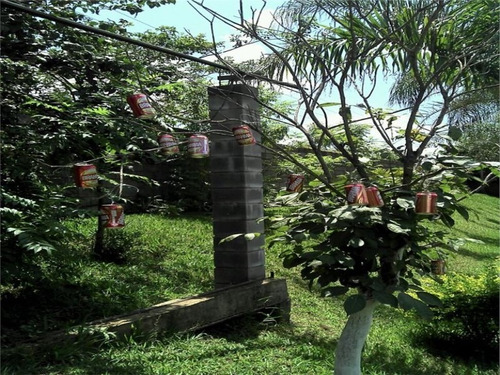 Imagem 13 de 23 de Chacara - Ch00020 - 3126418