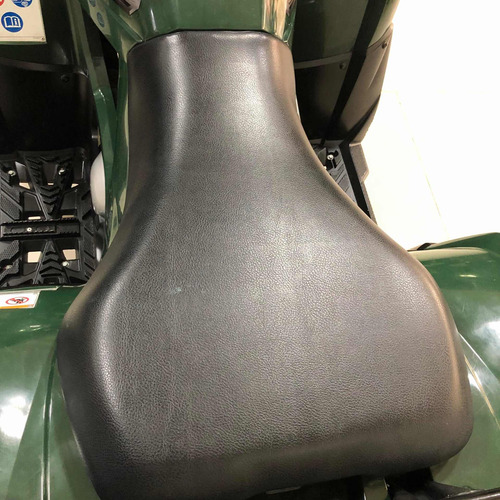 Imagen 11 de 15 de Yamaha Grizzly 300 Usado Cuatriciclo Automatico
