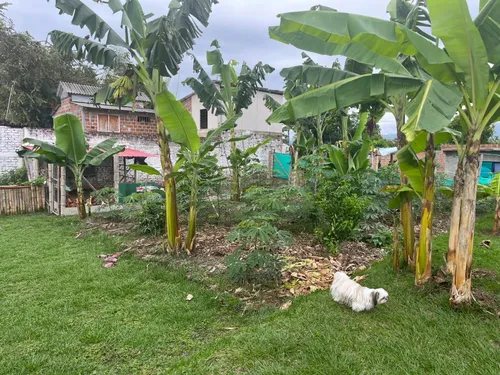 Hermosa Casa Finca Inversión Y Renta Excelente Ubicación