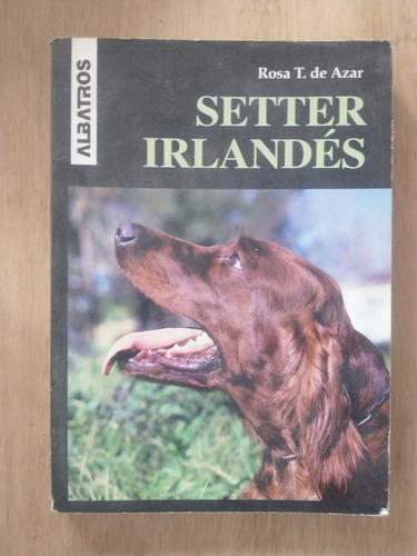 Setter Irlandés - Rosa T. De Azar