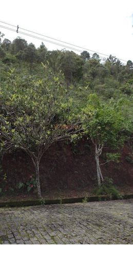 Imagem 4 de 4 de Terreno Com 3 Mil M² Em Condomínio Em Albuquerque - Teresópolis/rj. - Te00456 - 70530064