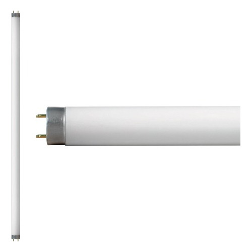 Tubo Lampara T8 Fluorecente 32w 1.20 Cm Luz Blanca 10 Pzs