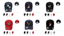 Comprar Paquete 10 Gorras Bordado Surtidas Lote Cachucha Mayoreo