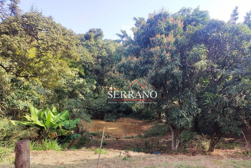 Imagem 12 de 19 de Aceita Parceria Para Empreendimento! Chácara Com 4 Dormitórios À Venda, 6400 M² Por R$ 2.500.000 - Marambaia - Vinhedo/sp - Ch0045