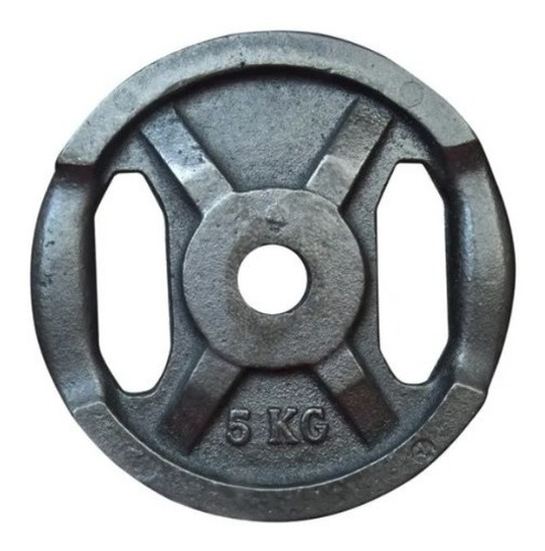 Discos De Fundición Pesas C/agarre Gym 5 Kg