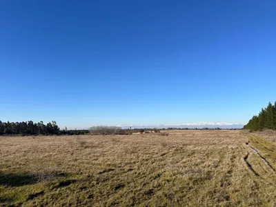 Agrícola en venta