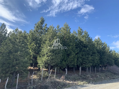 Cod36830 Agrícola En Venta En Liucura, Forestal 213 Ha