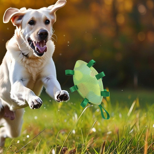 1 Dog Rugby Football Toy Training Bit, Liviano, Verde