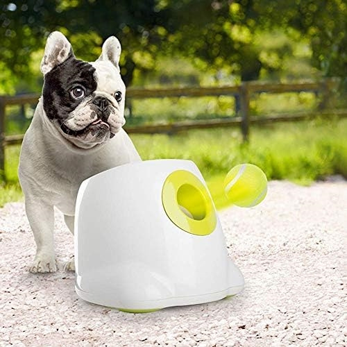 Pelotas De Tenis All For Paws Para Perros, Ideal Para Mini L