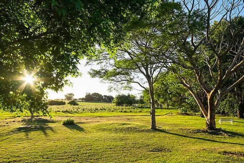 Chacra En El Caño