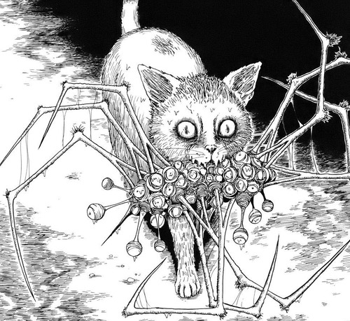 Imagen 6 de 6 de El Diario Gatuno De Junji Ito