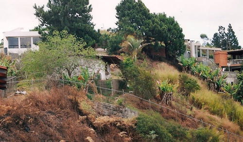 Imagen 10 de 11 de Terreno Topo Sanin