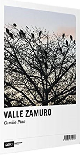 Valle Zamuro / Camilo Pino