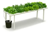 Comprar Huerta Hidropónica Horizontal Nft - 46 Plantas + Insumos Kit