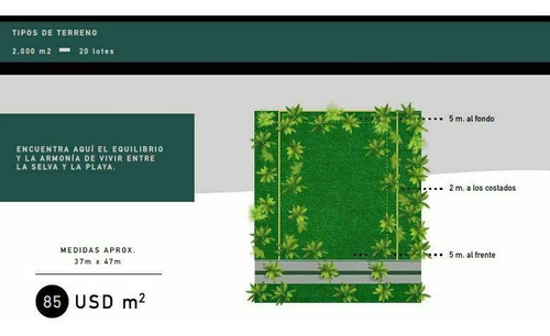 Imagen 11 de 17 de Lotes Residenciales En Fraccionamiento Ecológico!!! Tulum!!!