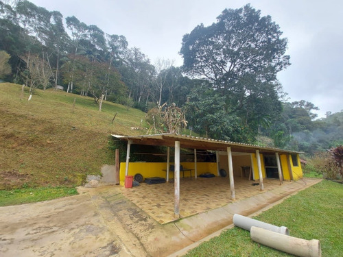 Imagem 12 de 14 de Chácara À Venda Em Juquitiba Ideal Para Moradia 12.000 M² 6 Quartos