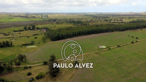 Chacras-venta-pan-de-azucar-ch036