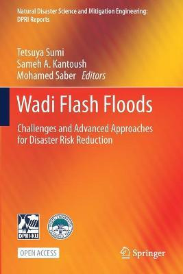 Libro Wadi Flash Floods : Challenges And Advanced Approac...