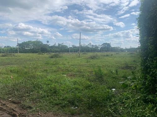 Imagen 1 de 6 de Lotes En Venta Cumaral 476-1514