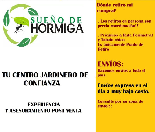 Imagen 2 de 4 de Semillas De Mostaza Roja