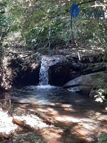 Imagem 5 de 8 de Chácara 3 Alqueires No Município De Pirenópolis - Ch4232326