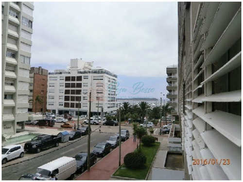 Imagen 14 de 22 de Apartamento En Peninsula, 2 Dormitorios *